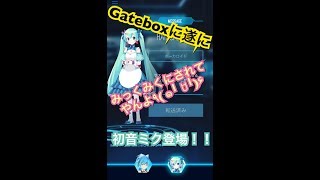 Gateboxに初音ミクさんがやって来てくれました！！ [upl. by Aynosal859]