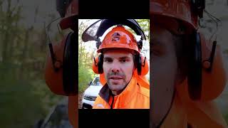 STIHL MS 261 MTronic Kalibrierung stihl [upl. by Alfonso]