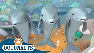 StayHome Octonauts  Dolphins or Sharks  Full Episodes  Cartoons for Kids [upl. by Maressa720]