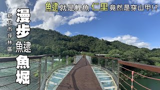 坪林散步，溪流茶園美景看不盡！長知識了，「仁里坂」的地名來自穿山甲 [upl. by Adrell]