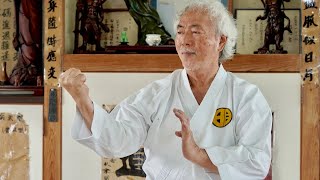 Too dangerous Okinawa Karate Masters Amazing skills [upl. by Nye]