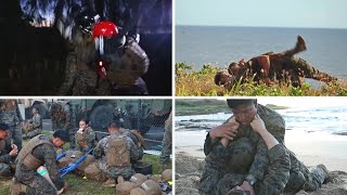 Mastering martial arts Inside the US Marine training program [upl. by Schwing]