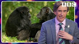 Alan Partridges tragically hilarious animal impressions  BBC [upl. by Niel363]