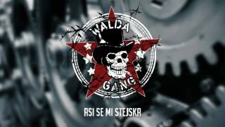 Walda Gang  Asi se mi stejska Official Audio [upl. by Astor523]