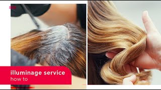 How to do an Illuminage Color Service  Wella Professionals [upl. by Cornelius945]