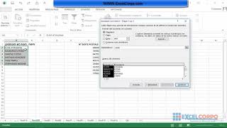 Comment séparer les données dune feuille de calcul dExcel [upl. by Akcinehs611]