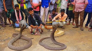 amazing street performers or busker  cobra flute music played by snake charmer [upl. by Uyr]