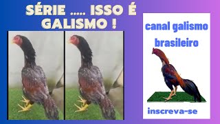 sérieisso é galismo26 de fevereiro de 2024 [upl. by Woodson]