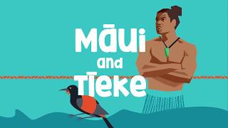 The pūrākau legend of Māui and Tīeke [upl. by Flory]