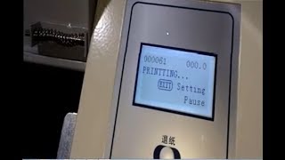 Completed Setup Installations  DX5 DX7 XP600 Head Printer [upl. by Leanahtan]