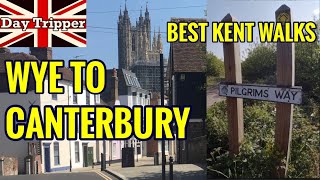 Best Walks in Kent Wye to Canterbury  North Downs Way Pilgrims Way  Day Tripper Vlog 43 [upl. by Azarcon]