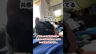 【怒り】政府「減税したら子ども関係の予算を削る」→「その感覚が怖すぎる」 [upl. by Onateyac]