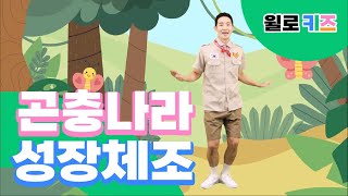 윌로키즈 율동 체조  키크기 운동  곤충나라 성장체조  키즈운동 Exercise for Kids [upl. by Hgielrak]