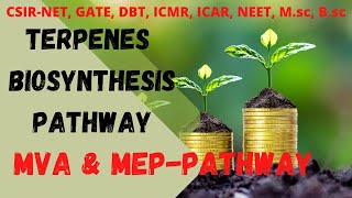 Terpenes  Terpenes Biosynthesis Pathway  Plant Secondry Metabolites biologyachievers [upl. by Esinnej]