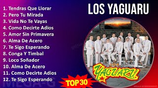 Los Yaguaru 2024 MIX Grandes Exitos  Tendras Que Llorar Pero Tu Mirada Vida No Te Vayas Como [upl. by Holbrook411]