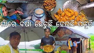 ଗାଁରେ ବର୍ଷା ଛେଚୁଛି ହେଉଛି ପକୁଡି 😋 Gouranganayakodiavlogs [upl. by Ahsiket]