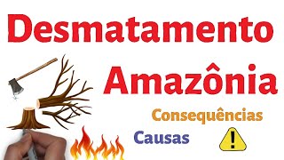 Causas e Consequências do Desmatamento na Amazônia [upl. by Nonnag]