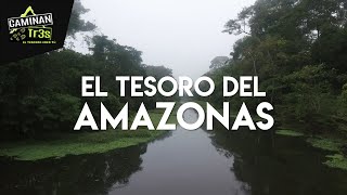 LOS MISTERIOS DEL AMAZONAS LA SELVA MÍSTICA  CaminanTr3s El tercero eres tú [upl. by Jane970]