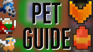 RotMG  The Complete Pet Guide Basics Fusing Leveling Fame Feeding [upl. by Nylireg339]