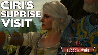 Ciris Suprise Visit Ciri Ending  The Witcher 3 Blood amp Wine [upl. by Chaffinch412]