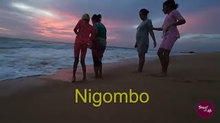 Explore Negombo Top Hotels And Mustsee Travel Spots On The Beach [upl. by Forlini924]