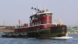 Little Hardhats quotBig Boats amp Busy Harborsquot Video Salt Cargo Ship Unloading Scene [upl. by Ciredor917]