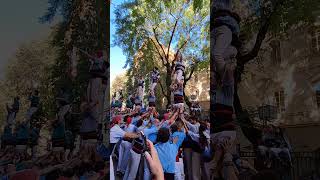 Castellers del Poble Sec  3 p4 inici 1  Diada de Tardor 10XI24 [upl. by Fadil]