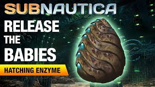 Making the Hatching Enzyme  SUBNAUTICA [upl. by Arlon]