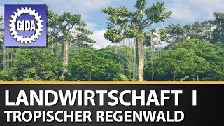 Trailer  Landwirtschaft I  Tropischer Regenwald  Geographie  Schulfilm [upl. by Floeter]