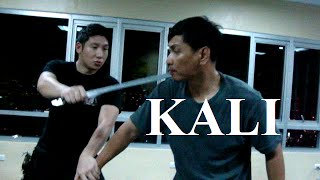 KALI  ARNIS  ESKRIMA  FILIPINO MARTIAL ARTS [upl. by Hsakiv438]