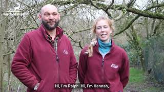 Enhancing nature at Hornbeam Wood Hedgehog Sanctuary [upl. by Oicneserc]