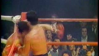 Sylvester Stallone and Frank Stallone fighting in Rocky III never seen before [upl. by Nivag461]