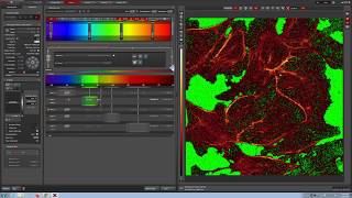 Leica Confocal Video Manual [upl. by Aiker]