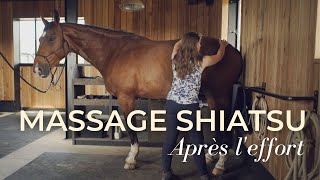 Un massage de A à Z pour votre cheval [upl. by Patin898]