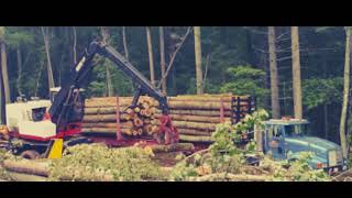 Country boy can survive REMIX  THE LOGGERS SONG [upl. by Nirak407]