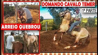 Domando Cavalo Temer Arreio Quebrou 1ª parte [upl. by Handy299]