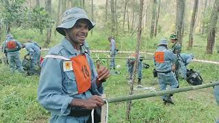 PENDIDIKAN PT PLN ANGKATAN 81 TAHUN 2023 [upl. by Edwin871]