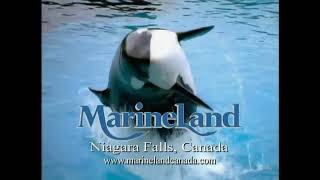 Marineland Commercial 1998 4K [upl. by Ymeraj762]