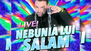 Florin Salam Nebunia lui Salam Colaj Manele Live [upl. by Bridie157]