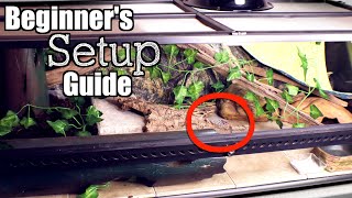 Leopard Gecko Setup 2020  Beginners Setup Guide [upl. by Oeflein]