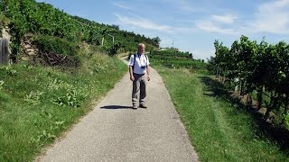 Welterbesteig Wachau Etappe von Dürnstein nach Krems [upl. by Poler406]