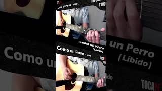 Como un Perro 🐕  Líbido  Guitarra [upl. by Alli]