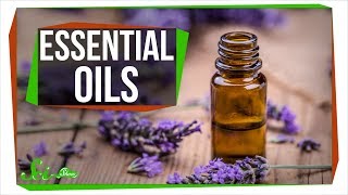 Do Essential Oils Really Work And Why [upl. by Nedroj]