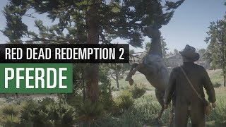 Red Dead Redemption 2 PFERDE  Der ultimative Pferdeguide [upl. by Hege]