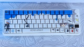 Customizei um kit de Keycaps do ZERØ pro meu teclado [upl. by Earb823]