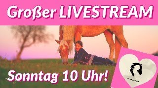 Großer LIVE STREAM SONNTAG 1407 10 Uhr [upl. by Mansfield320]