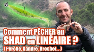 Comment pêcher au SHAD en LINEAIRE  perche sandre brochet [upl. by Nanerb]