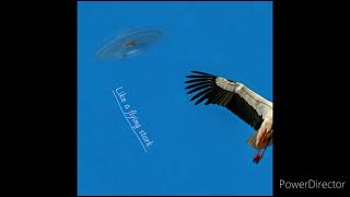 Like a flying stork Reprise AI Instrumental Guitar Rock Music [upl. by Pik]