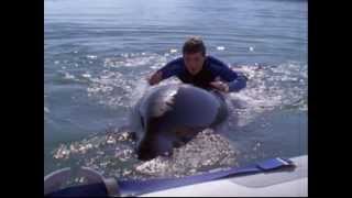 Free Willy 3  1997 trailer [upl. by Steere88]