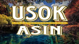 USOK WITH LYRICS BY ASIN COVER [upl. by Nisa]